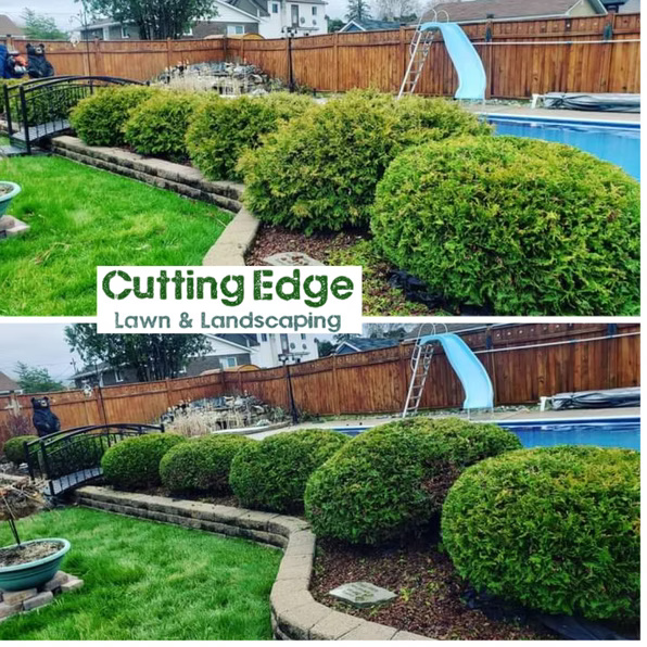 Cutting Edge Lawn and Landscaping portfolio project 15