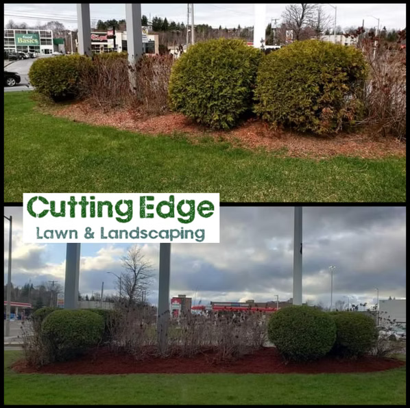 Cutting Edge Lawn and Landscaping portfolio project 6