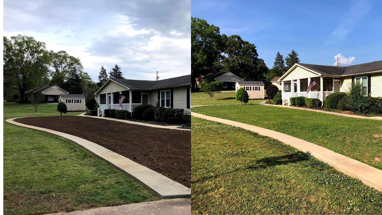 Before and after Sudbury lawn transformation by Cutting Edge