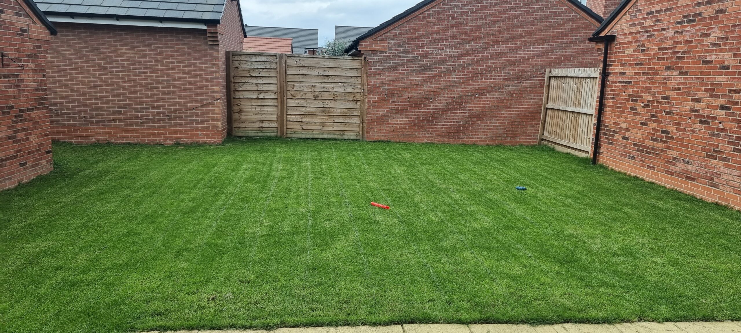 Chelmsford Sudbury lawn recovered and green after mowing height adjustment