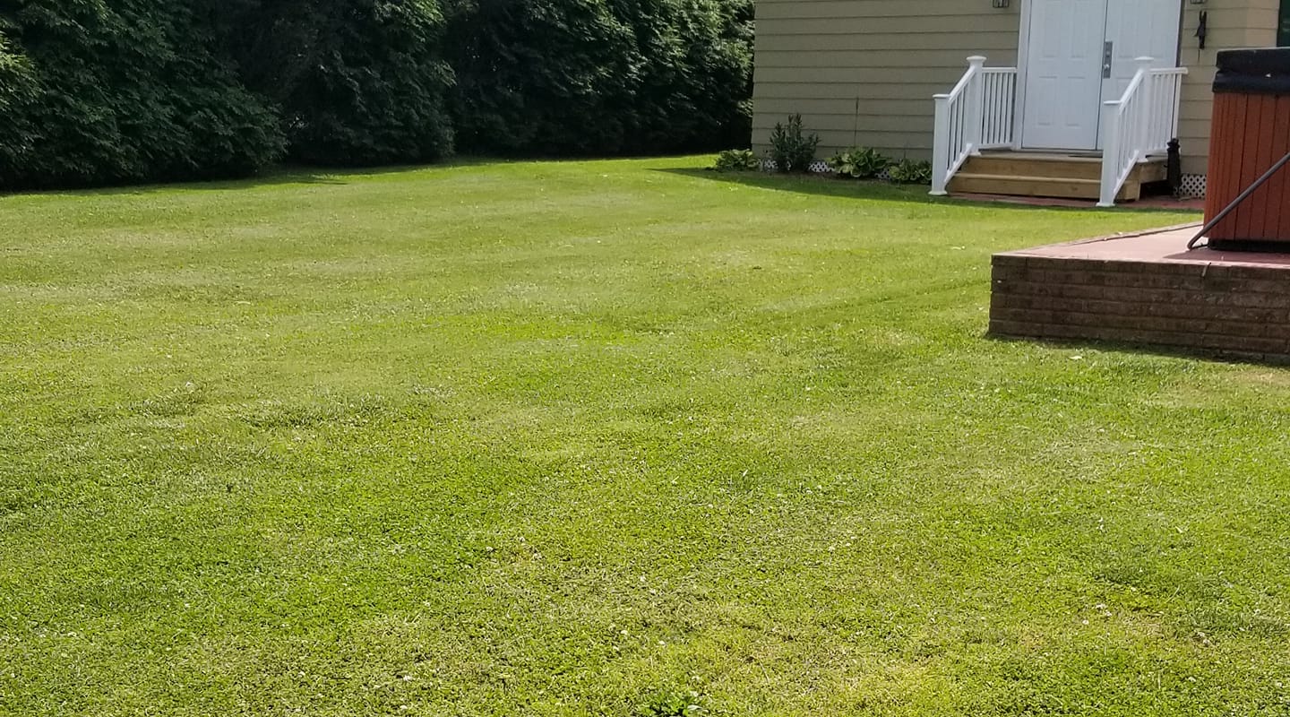 Clean edged green lawn on a Greater Sudbury home ready for sale