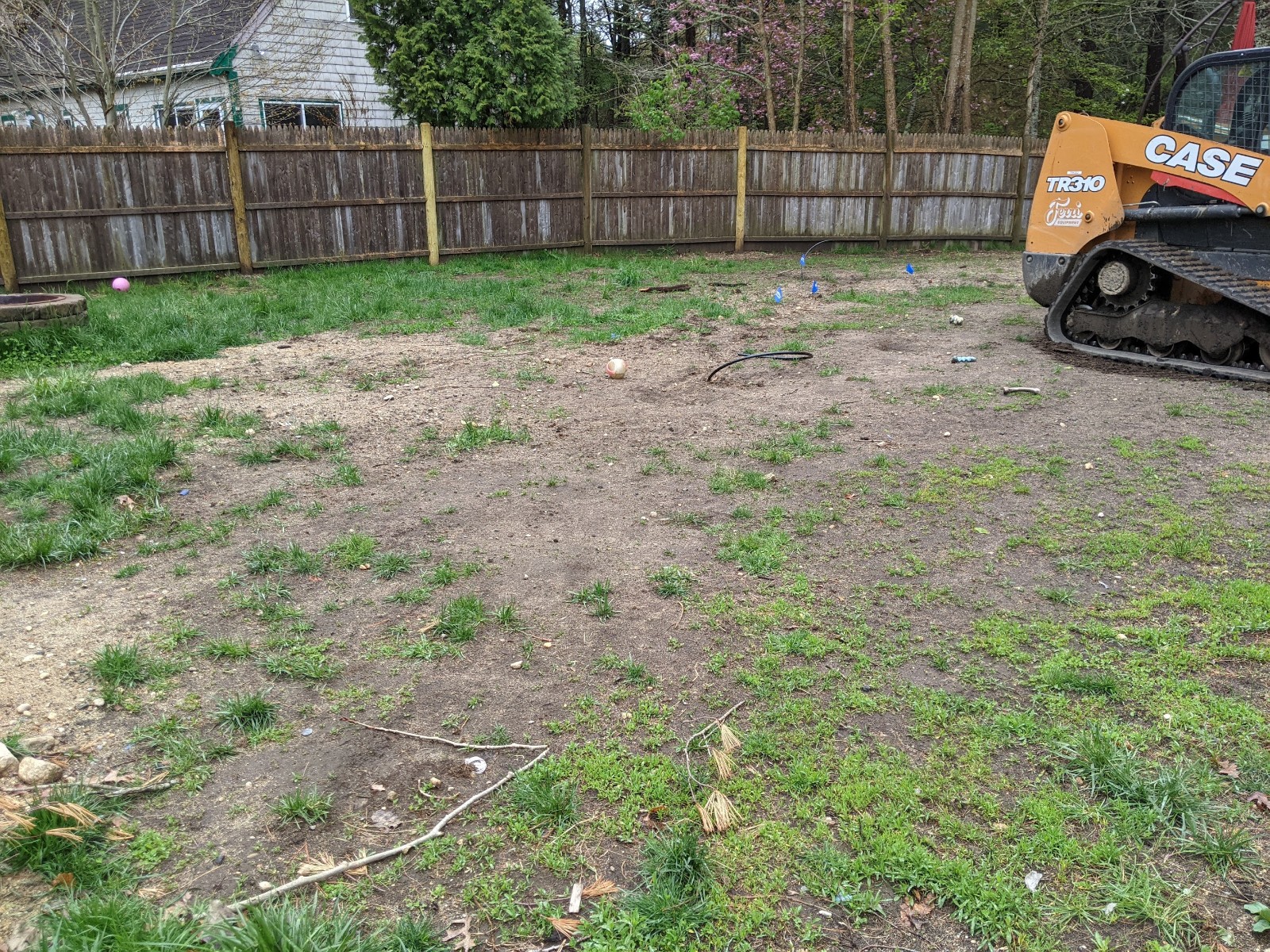 Compacted Sudbury lawn before aeration