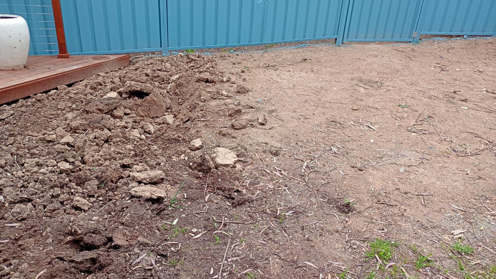 Compacted clay soil Sudbury lawn spring