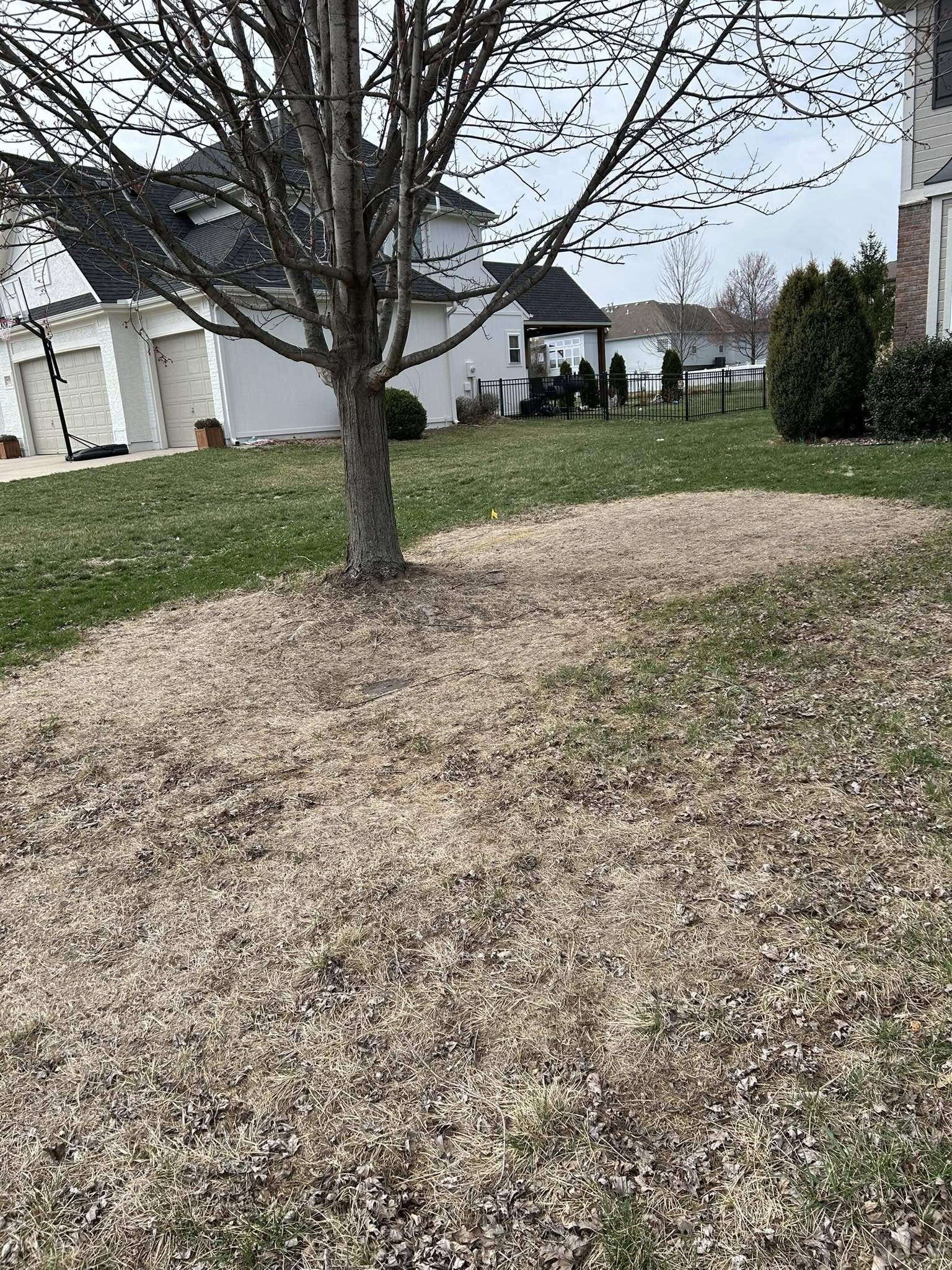 Completely dead bare lawn Greater Sudbury Ontario severe neglect
