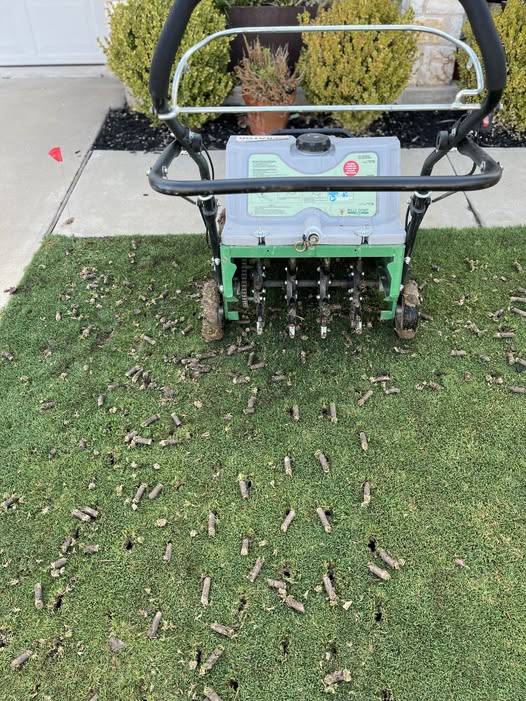 Core aeration being done on compacted clay lawn in Sudbury Ontario