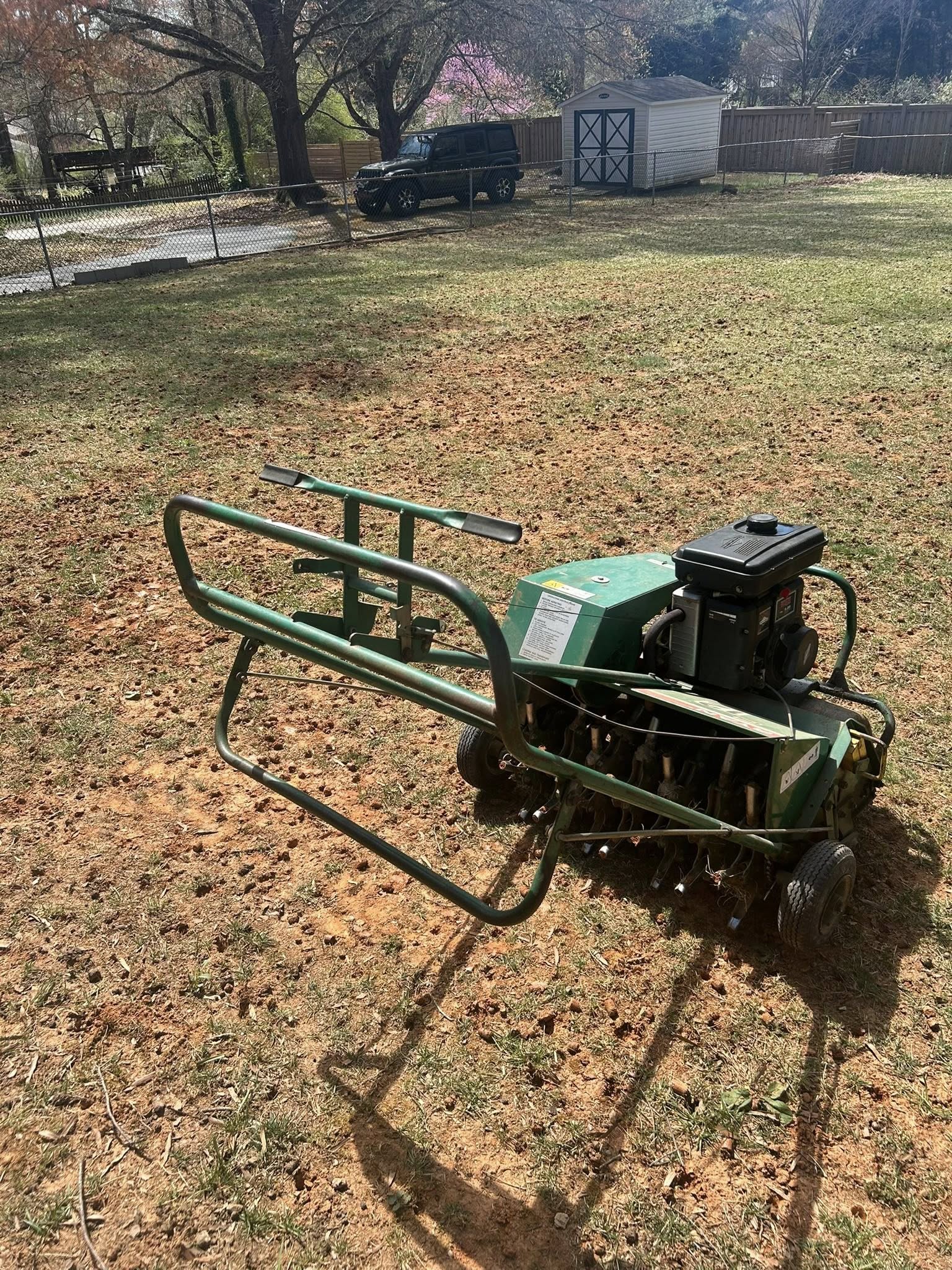 Core aeration plugs on a compacted Sudbury lawn in spring
