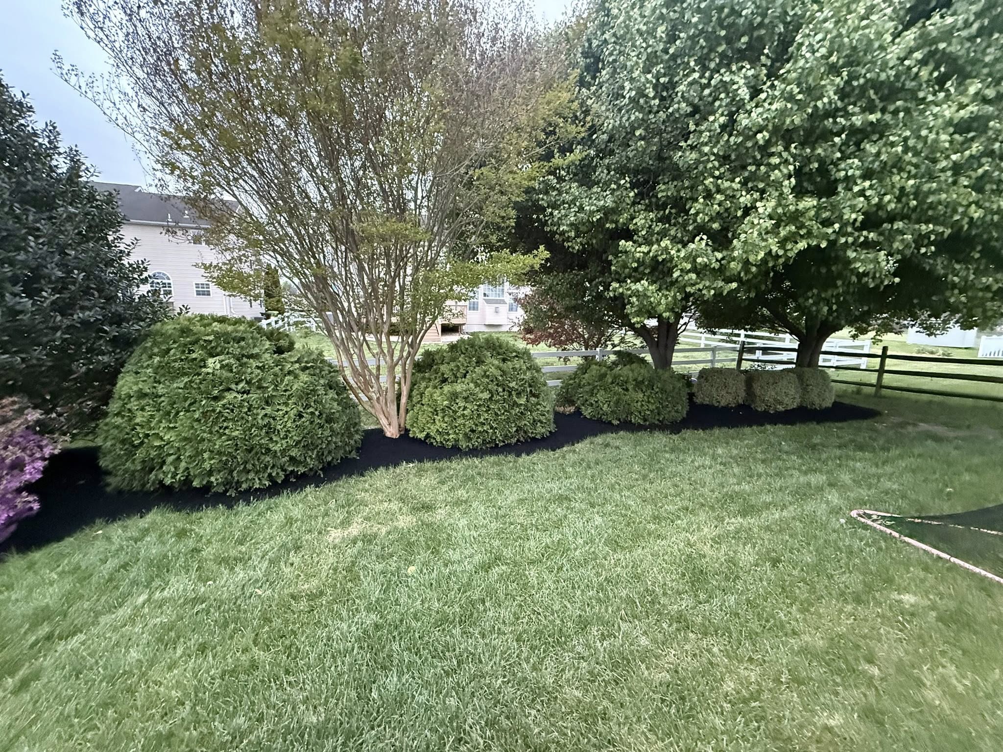 Curb appeal of a well maintained residential lawn in Greater Sudbury Ontario