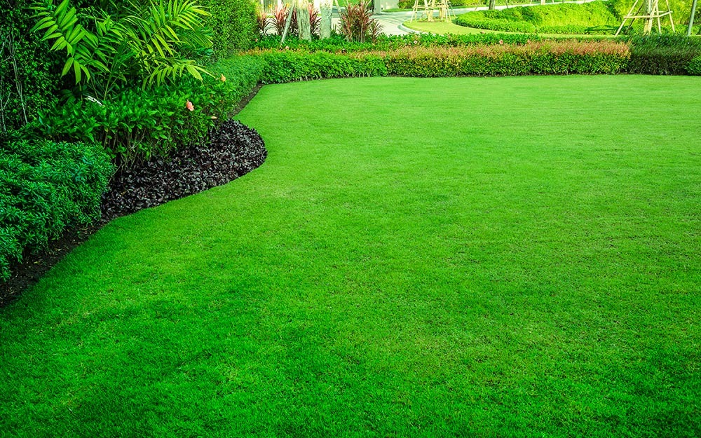 Cutting Edge Lawn & Landscaping