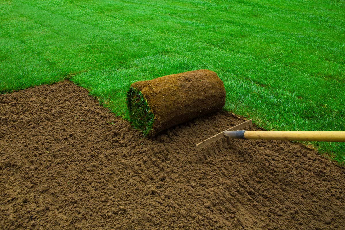 Cutting Edge Lawn and Landscaping crew installing sod on a residential property in Sudbury Ontario
