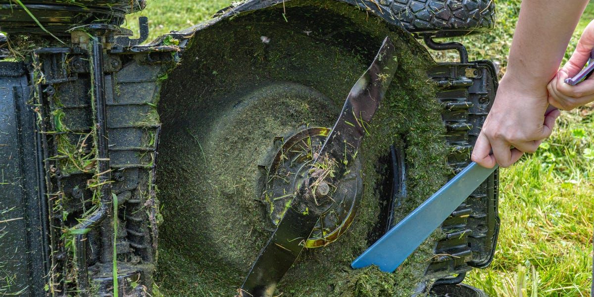 Dull mower blade tearing grass blades on Sudbury residential lawn