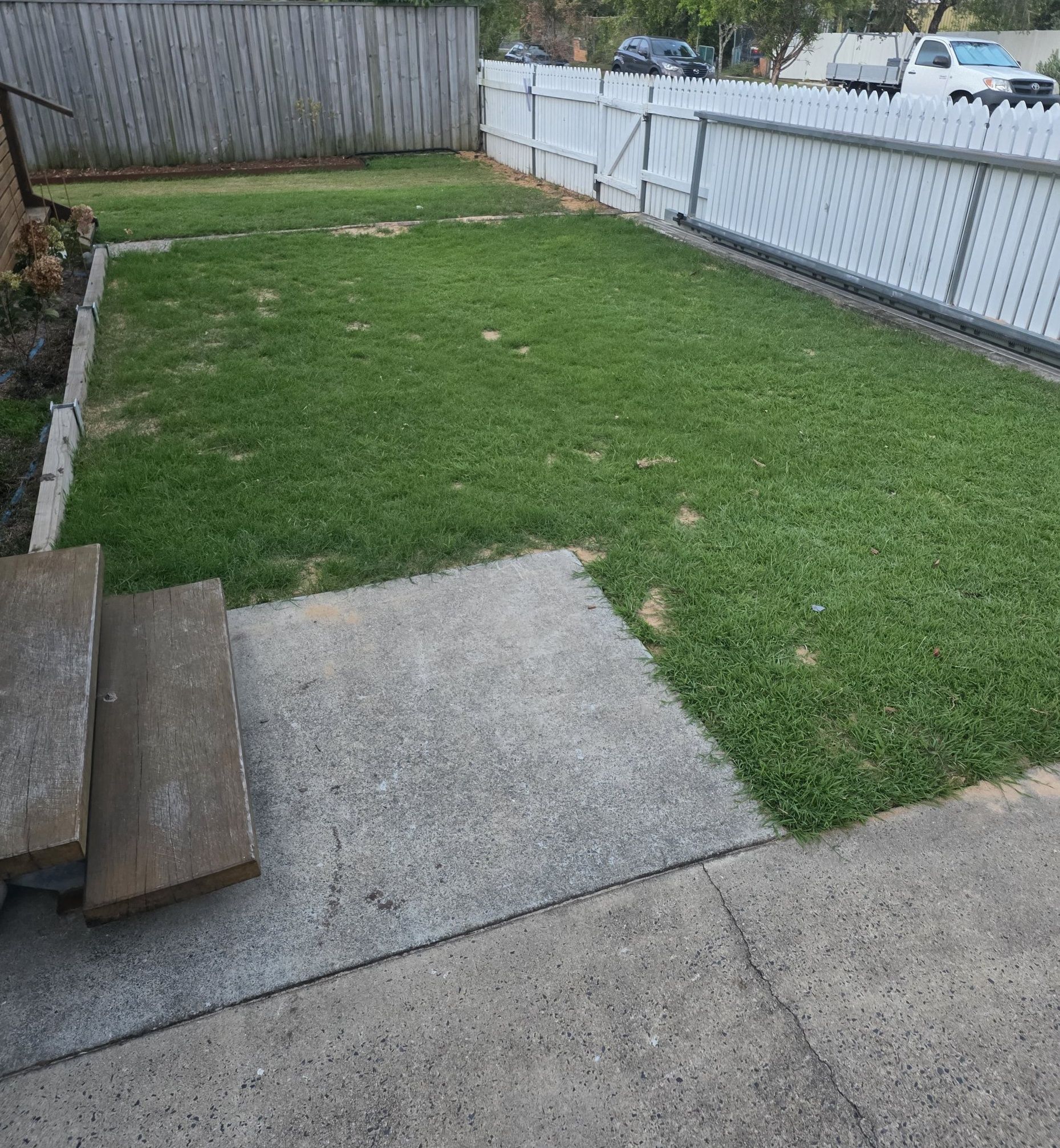 Fall grass seeding Sudbury Ontario backyard