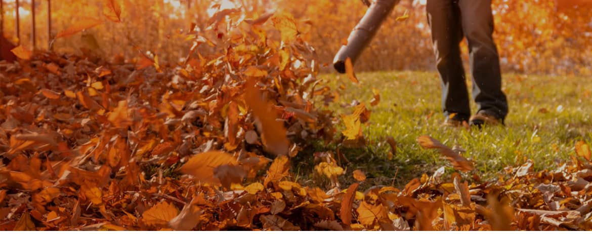 Fall lawn cleanup leaves removal Sudbury Ontario before winter