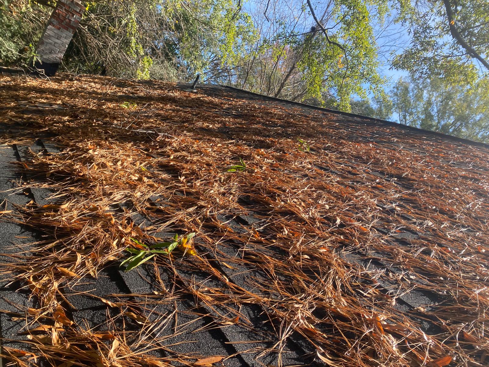 Fresh mulch installed in a Sudbury garden bed