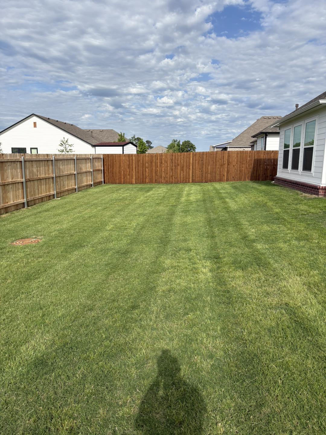 Fresh sod being laid on residential lawn in Sudbury