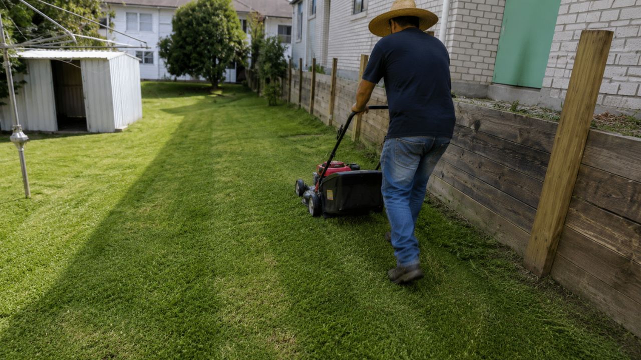 Freshly cut green residential lawn in Sudbury Ontario