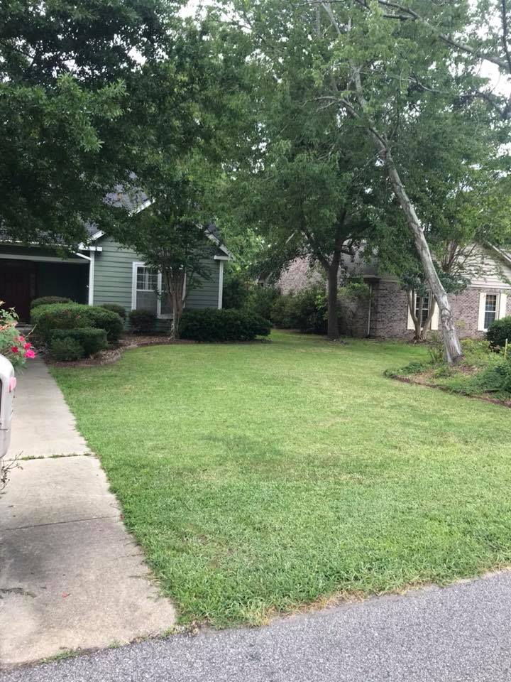 Freshly mowed Sudbury Ontario residential lawn at correct 3-inch height in late spring