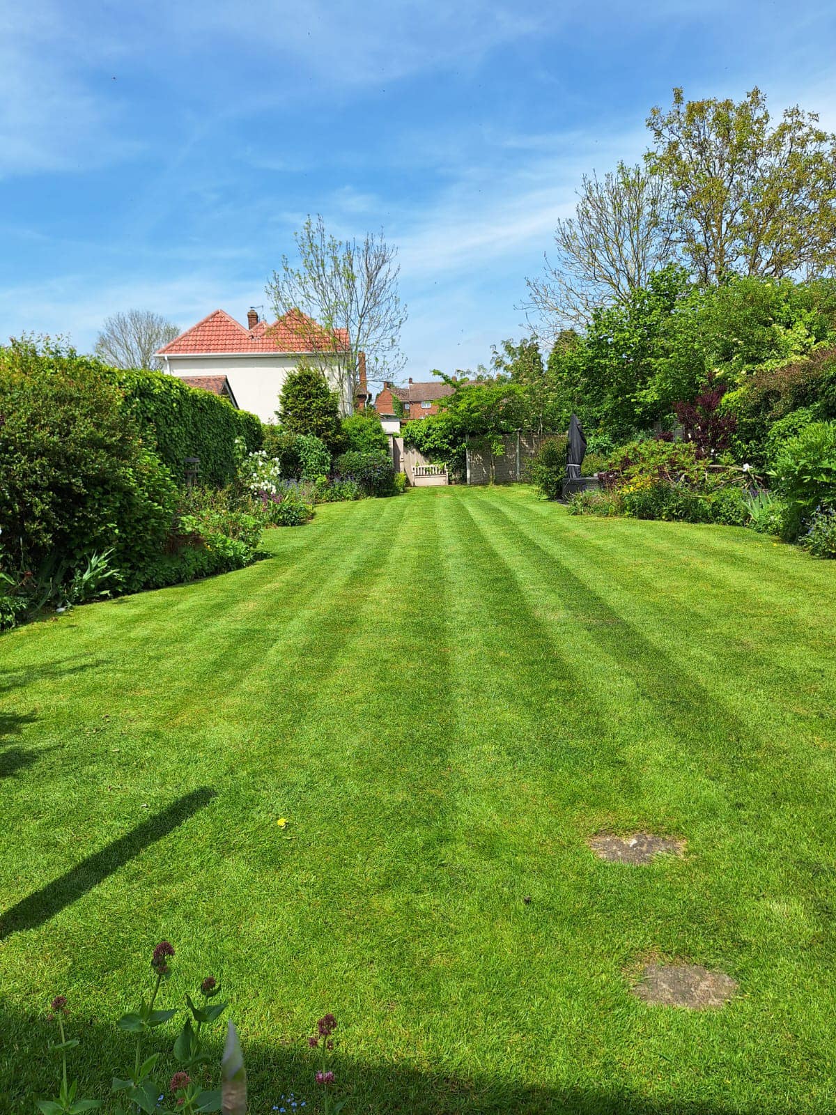 Fully restored green Sudbury lawn by end of summer season