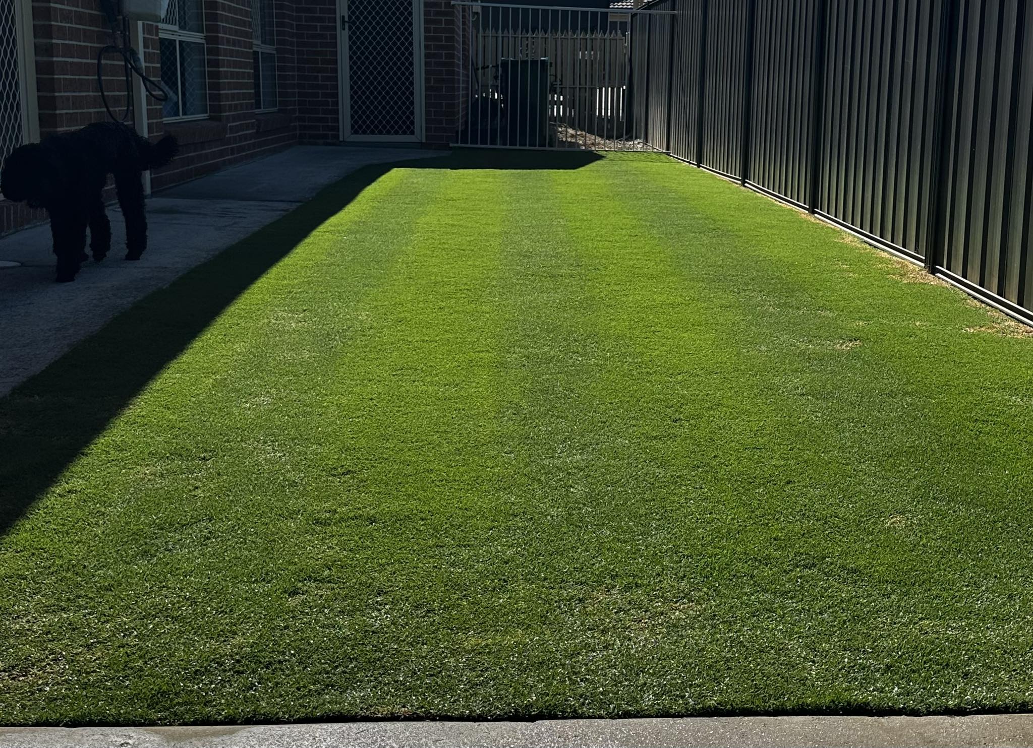 Fully restored green sod lawn Greater Sudbury Ontario after restoration