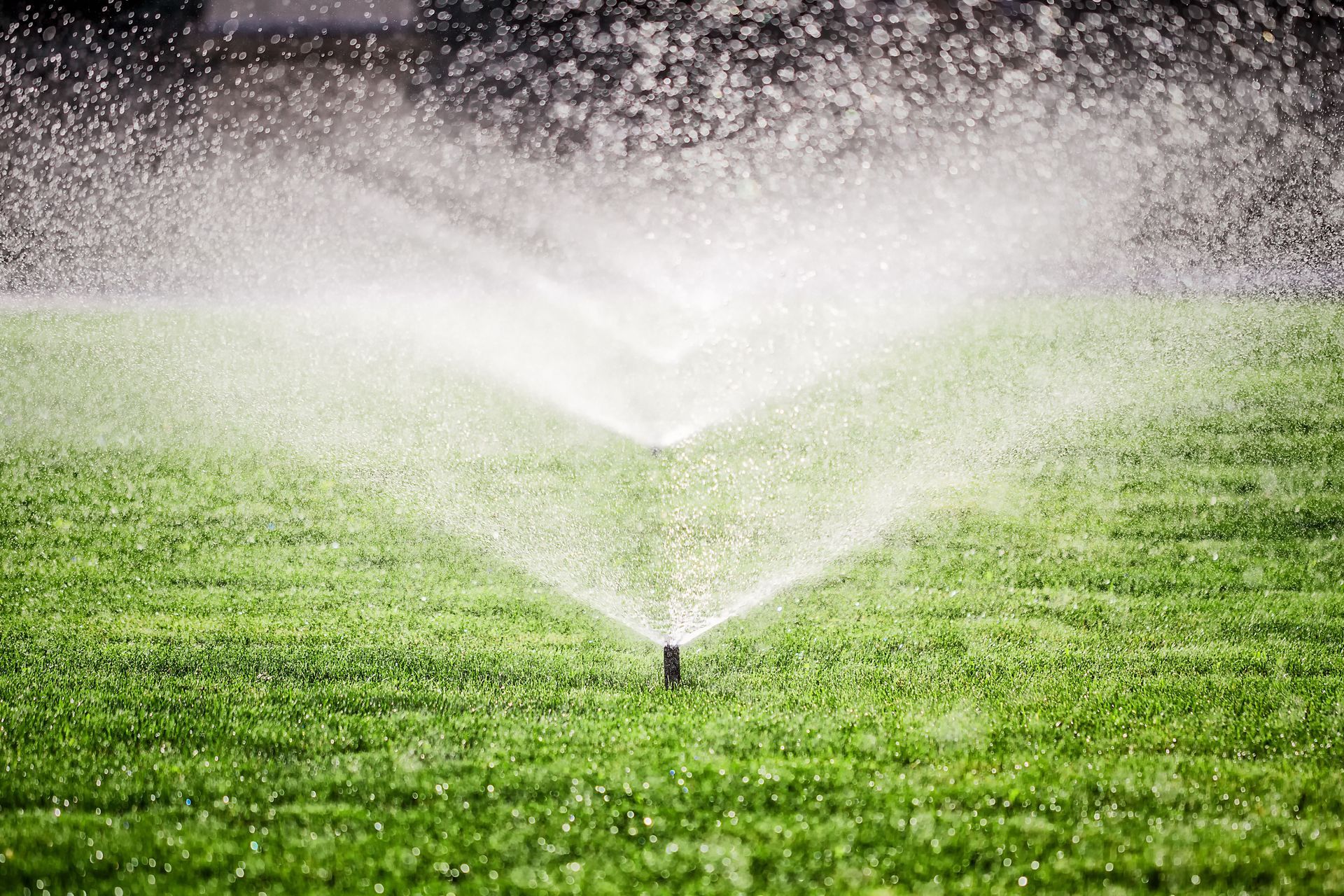 Garden hose watering a residential lawn in Sudbury during summer