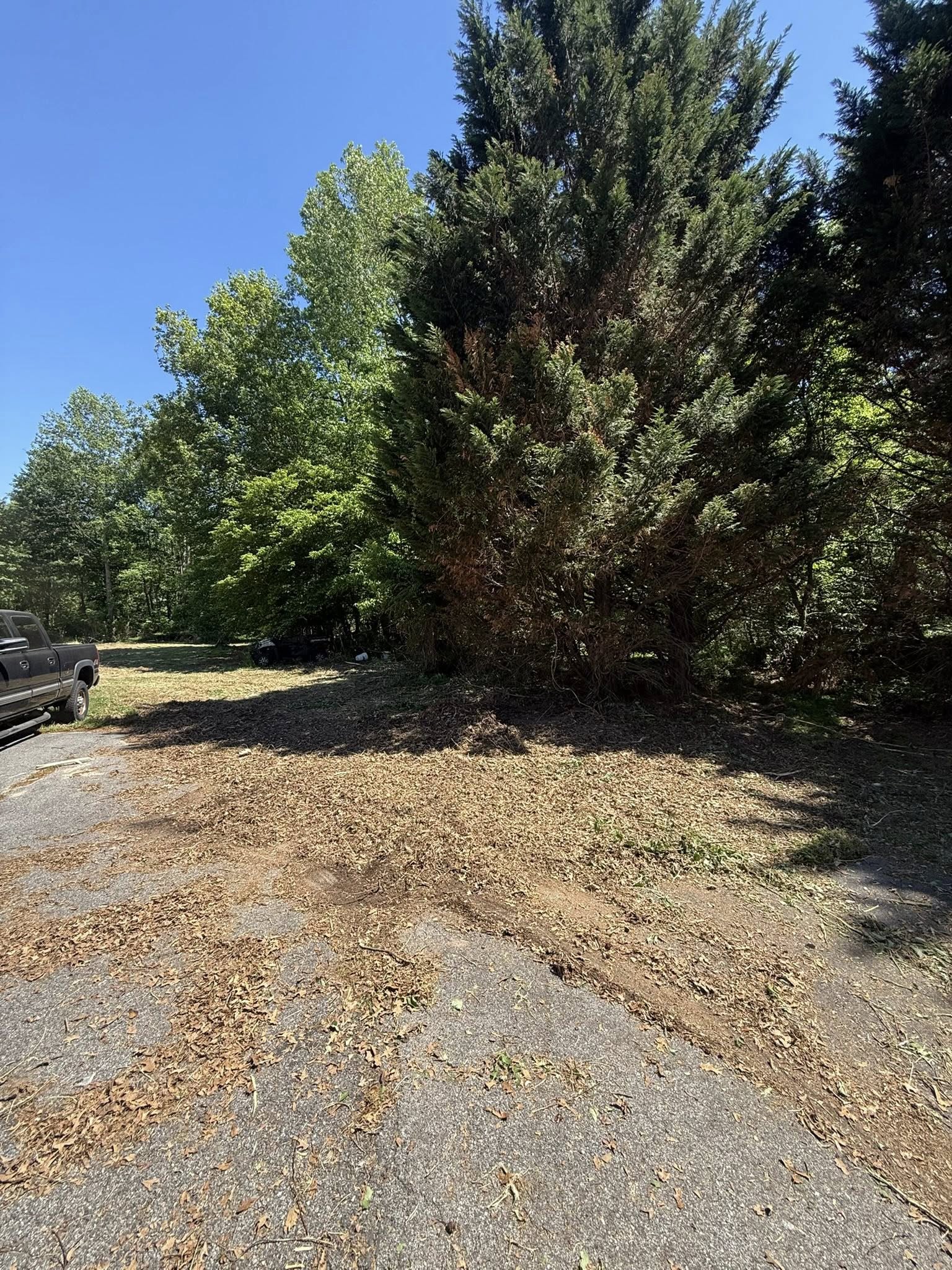 Grass clippings driveway blowing Sudbury