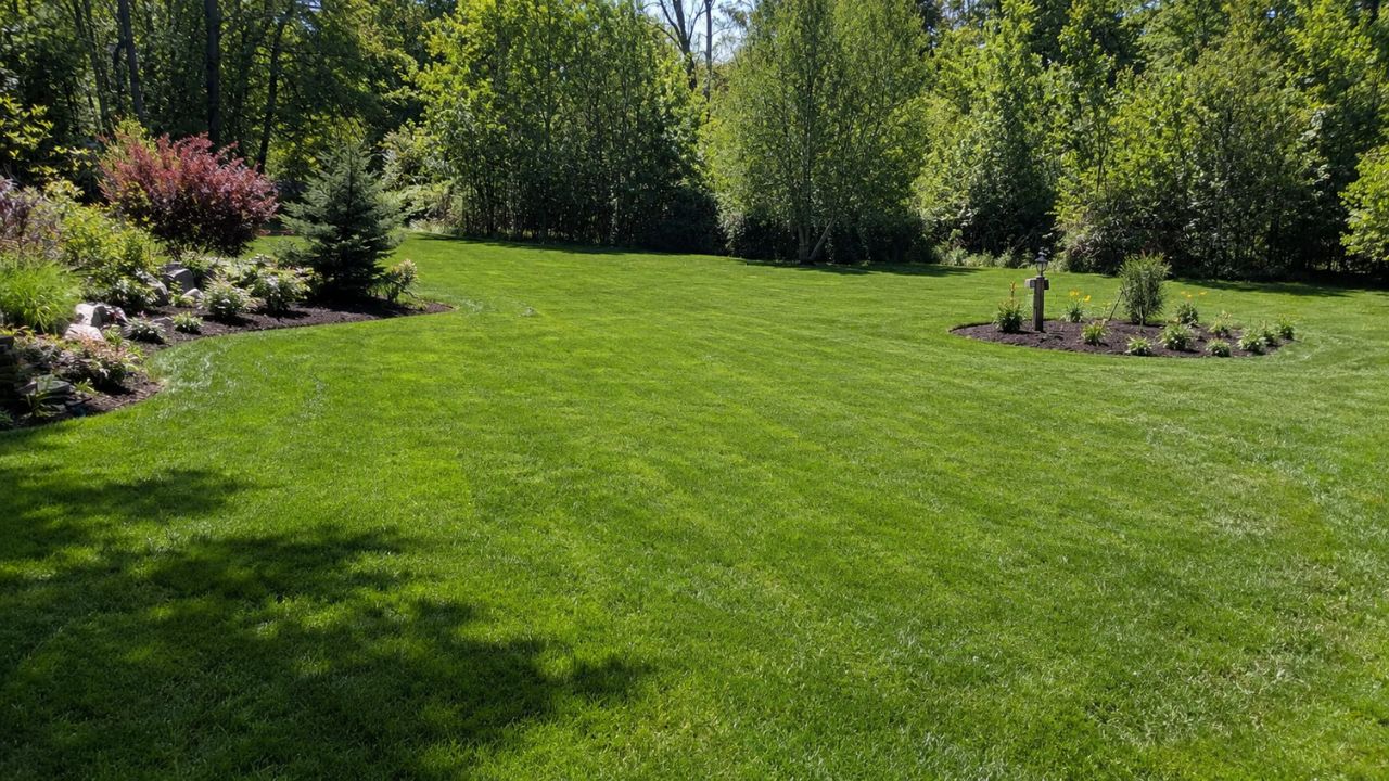 Green healthy residential lawn in Greater Sudbury Ontario