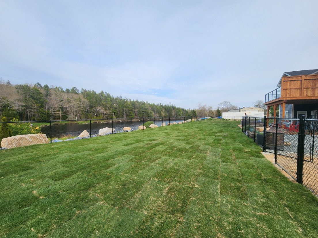 Healthy established lawn on a new build Sudbury property after renovation