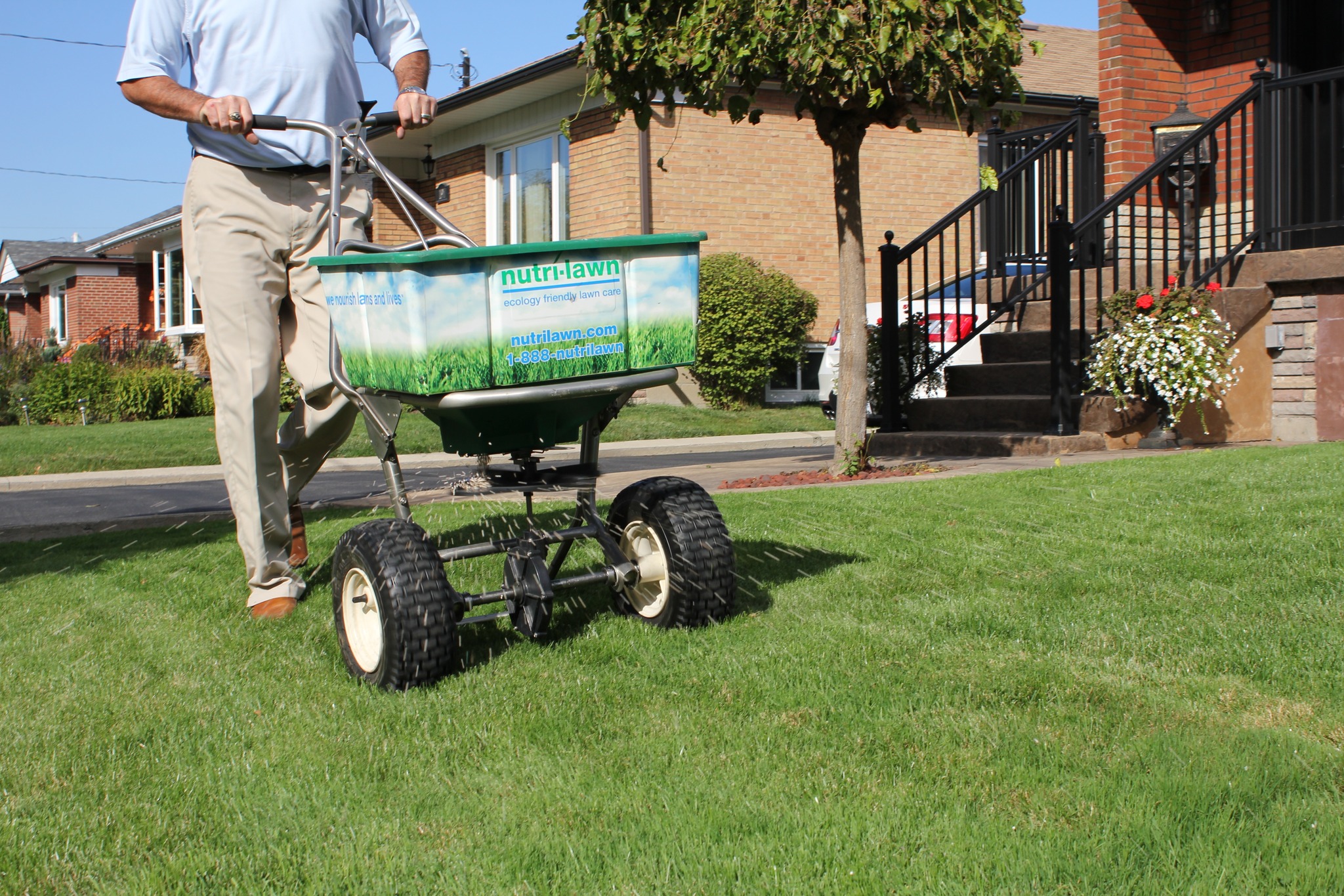 Healthy green Sudbury Ontario lawn in July after proper spring lawn care including aeration and fertilization