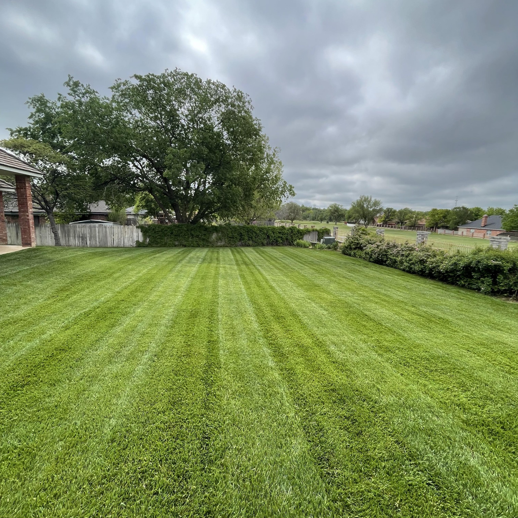 Healthy green Sudbury lawn after grub treatment and recovery
