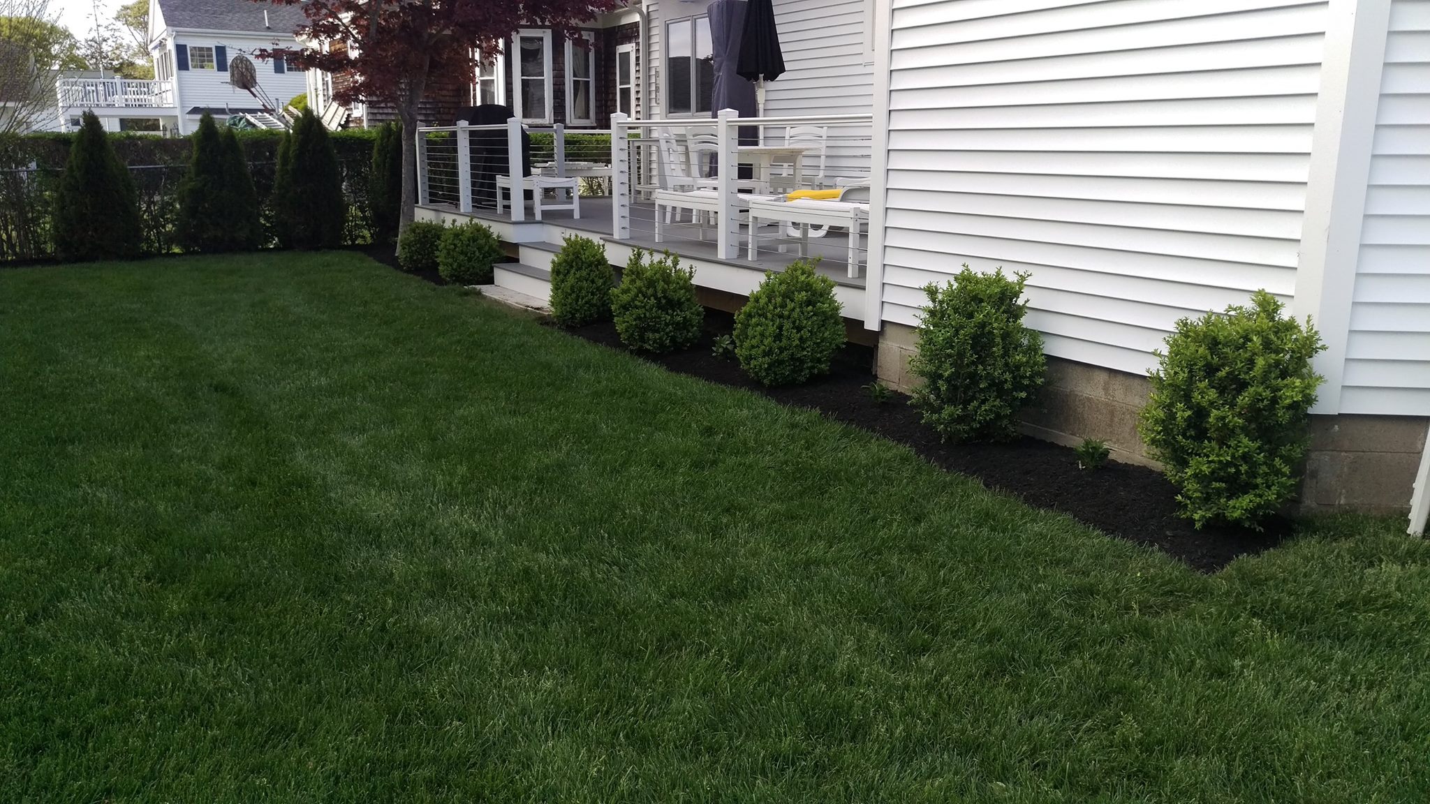 Healthy green Sudbury lawn maintained through summer watering