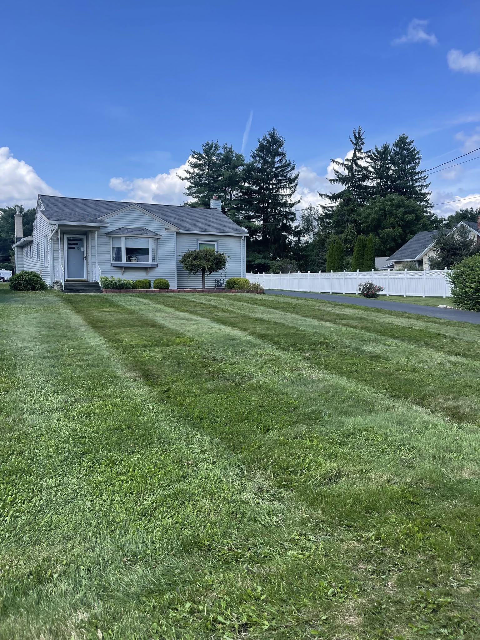 Healthy green lawn Sudbury Ontario after treatment