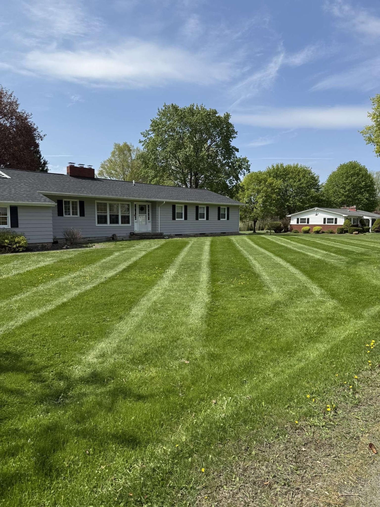 Healthy green lawn after professional sod installation Sudbury