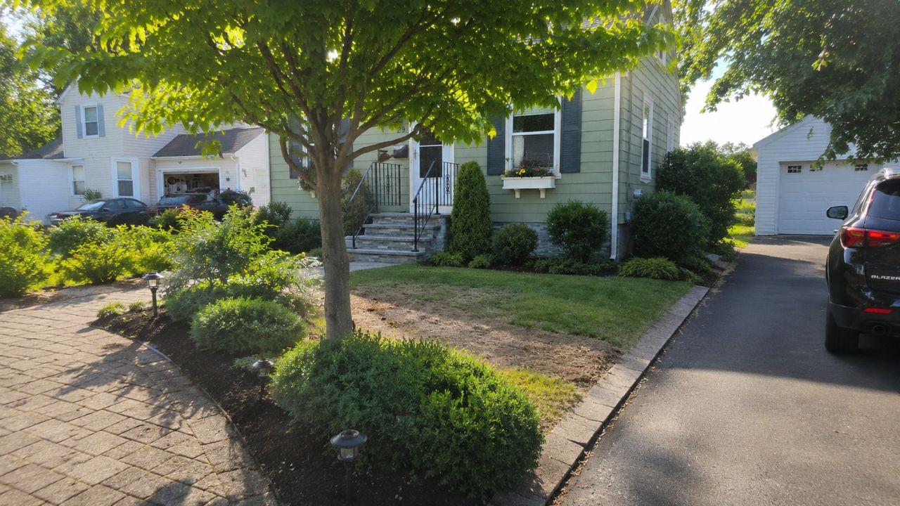 Healthy green lawn in Greater Sudbury Ontario in late May morning — Cutting Edge Lawn and Landscaping