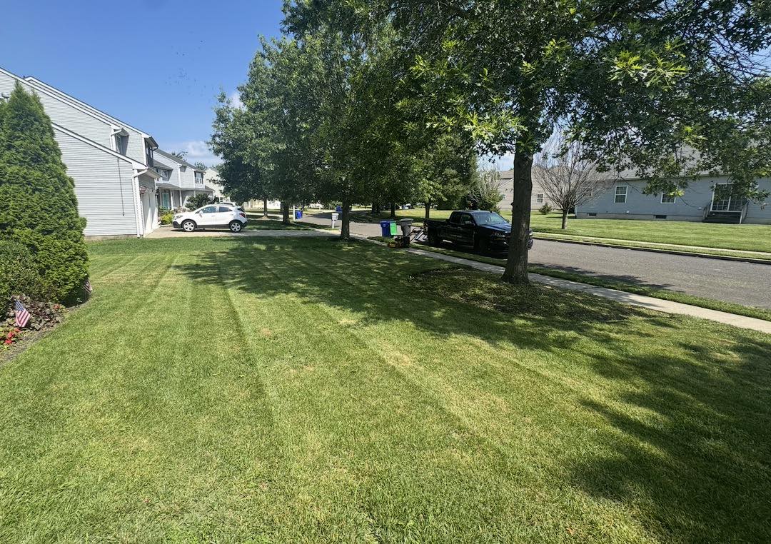 Healthy maintained Sudbury lawn after smart investment of money