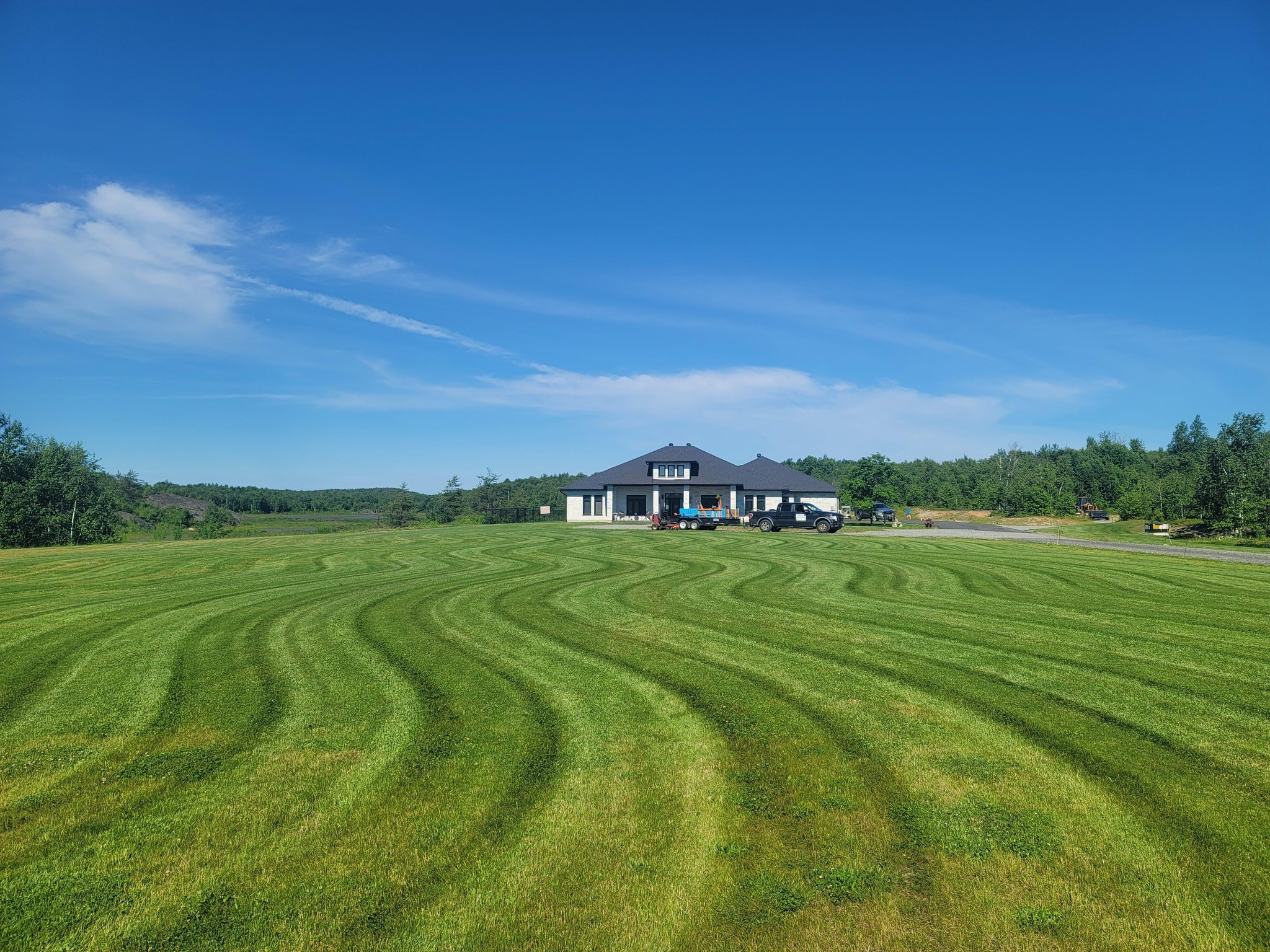 Healthy thick green Sudbury lawn after aeration