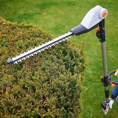 Hedge trimming tools and equipment beside a cedar hedge in Sudbury