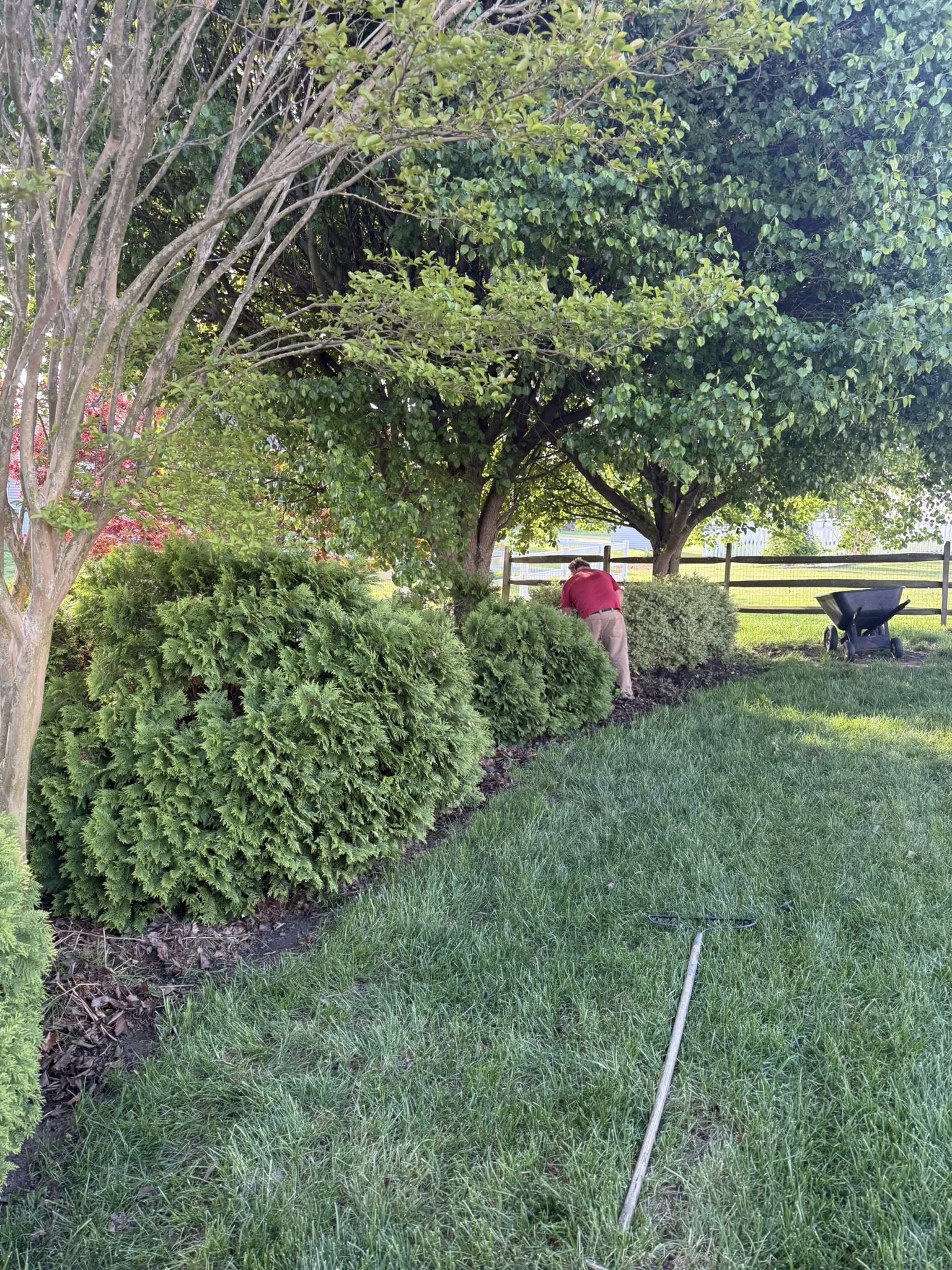 Homeowner reviewing lawn care service details with a professional in Sudbury