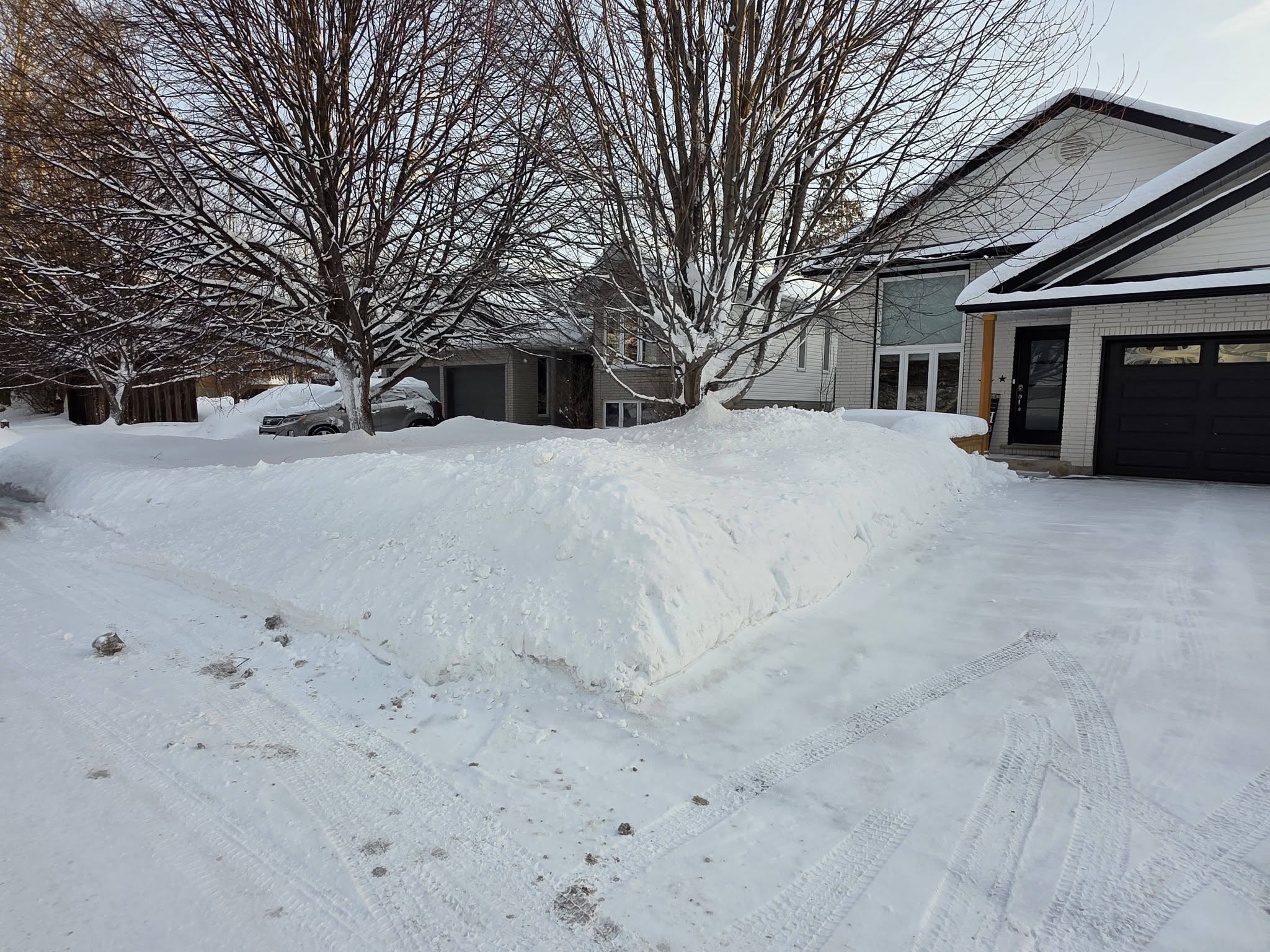 Late October residential lawn in Greater Sudbury Ontario before snowfall