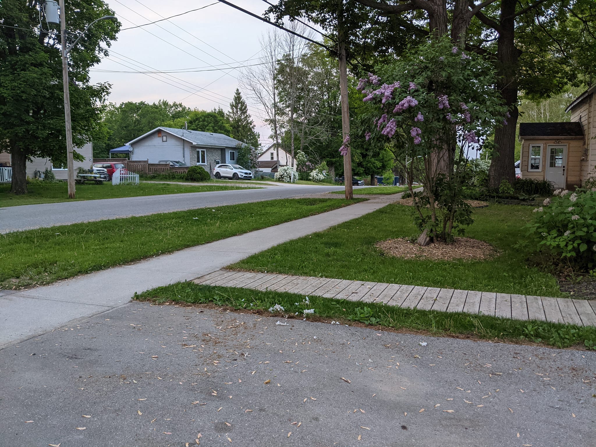 Lawn assessment on a Greater Sudbury property