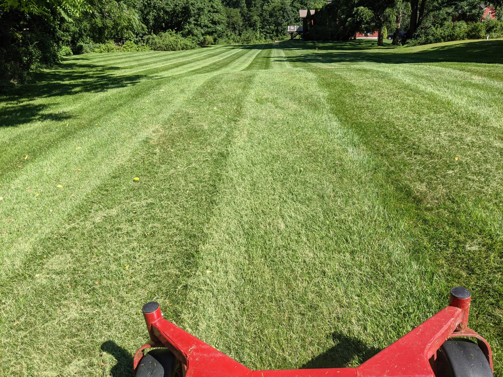 Lawn care crew trimming and edging a Sudbury residential property