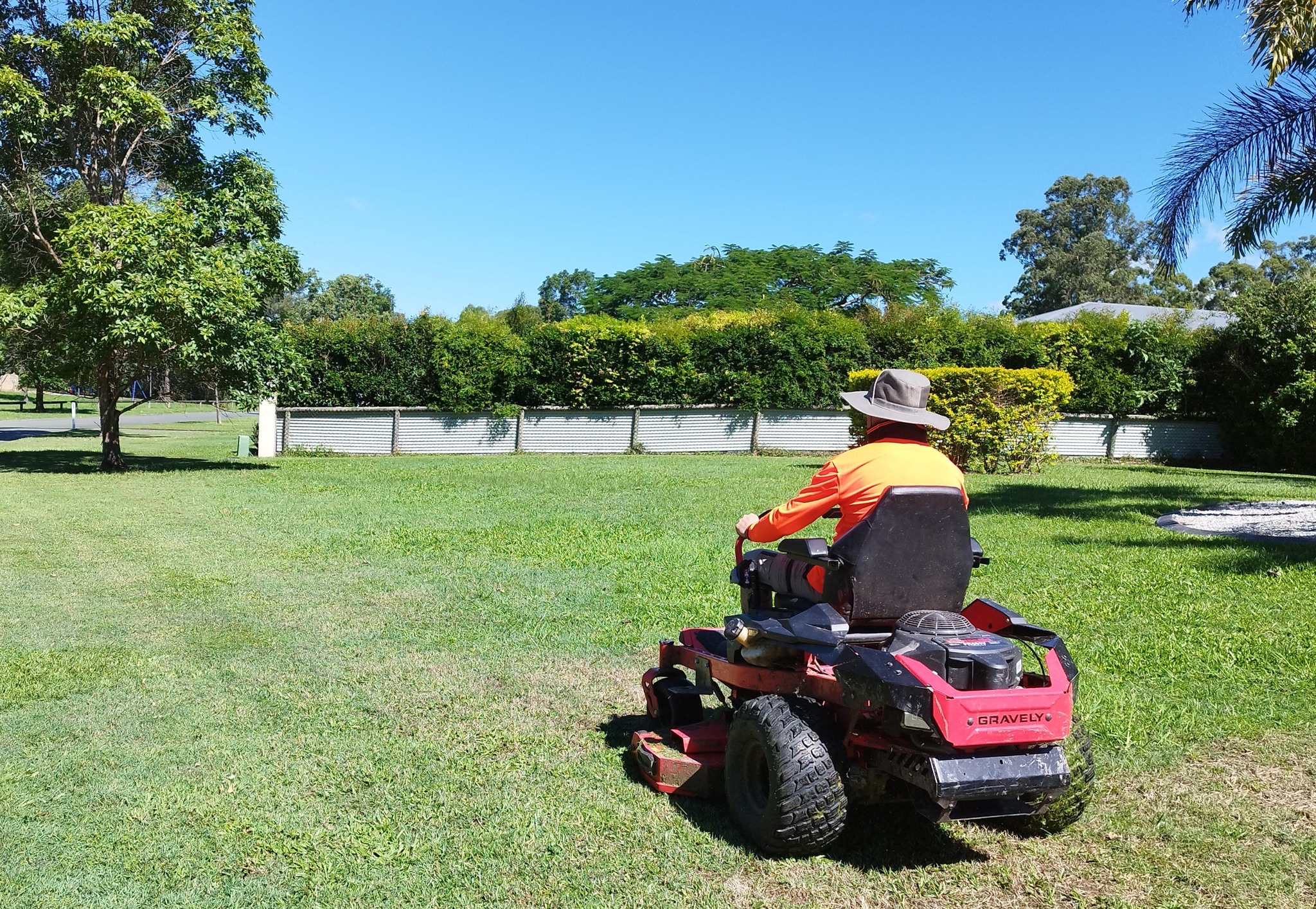 Lawn care professional assessing a problem area on a Sudbury residential property