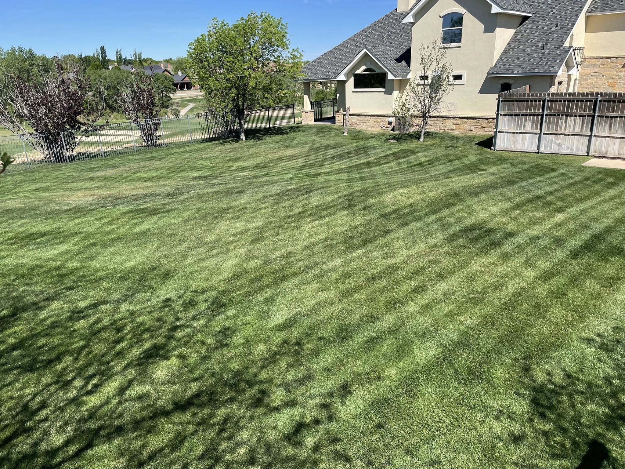 Lawn mowing edging Sudbury before party