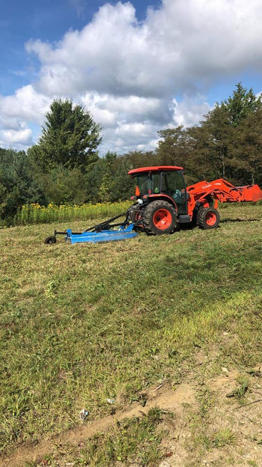 Lawn mowing height Sudbury June