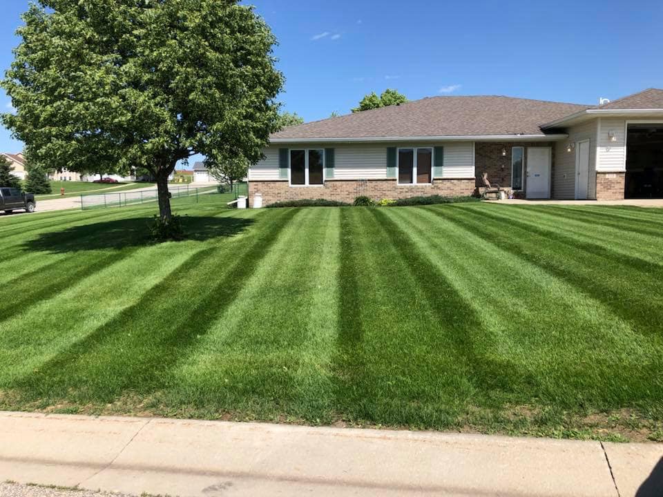 Lawn mowing schedule Sudbury June