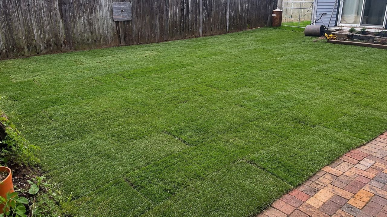 Lush green sodded lawn in Sudbury Ontario 3 months after installation by Cutting Edge Lawn and Landscaping