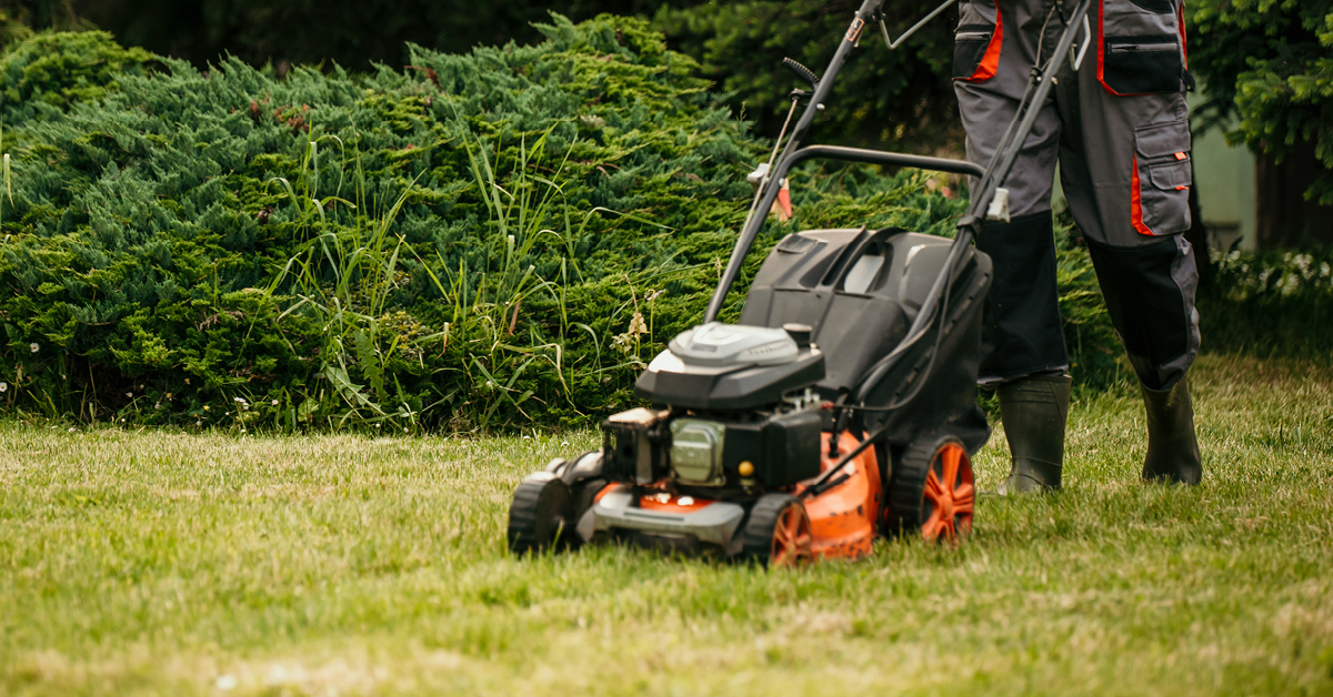 Mowing healthy lawn at 3 inches in Sudbury