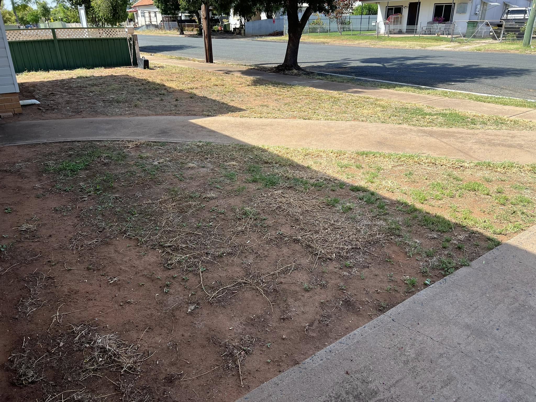 Neglected Sudbury yard with patchy grass and weeds in spring