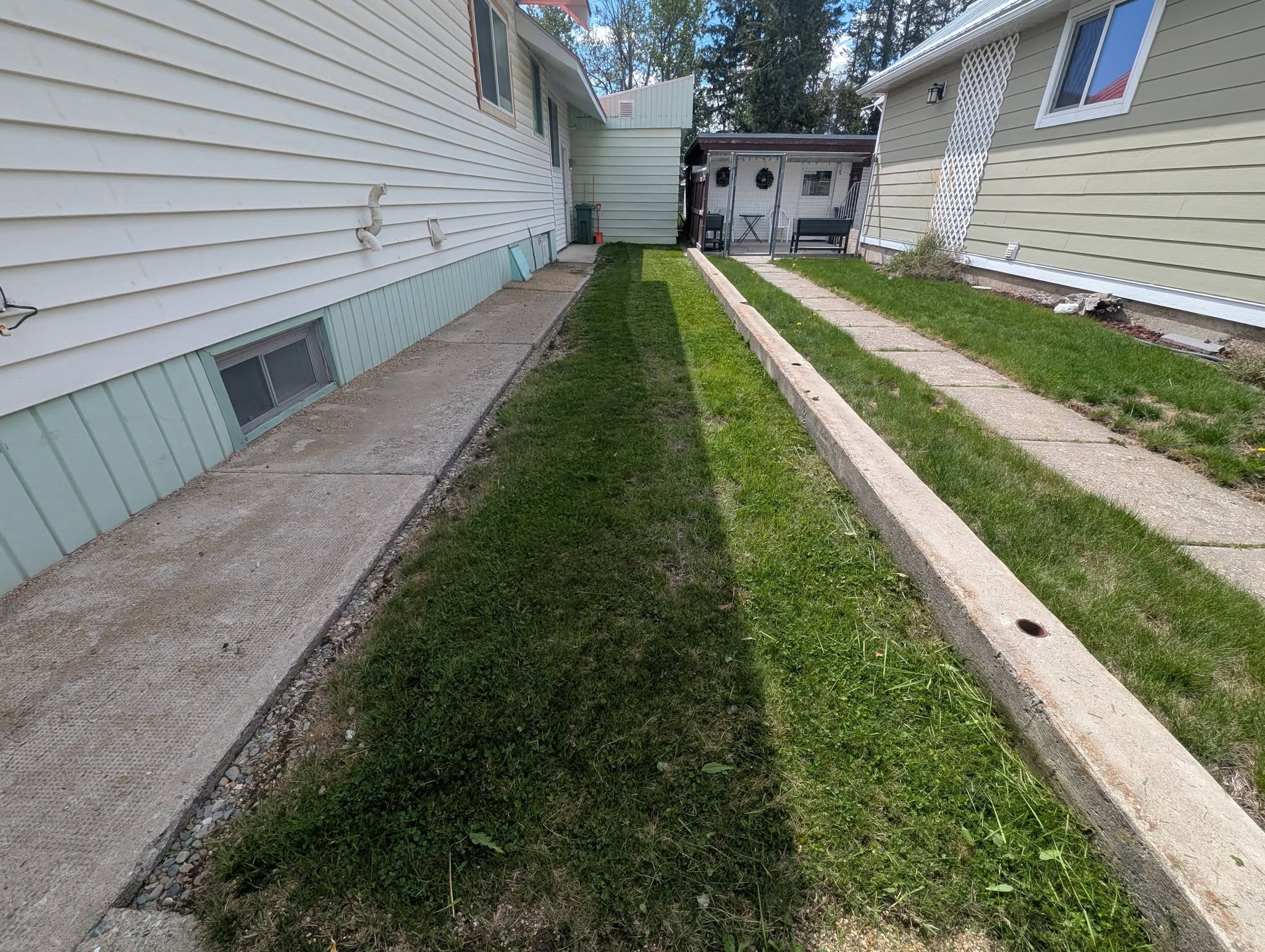 Overgrown lawn before cutting Sudbury
