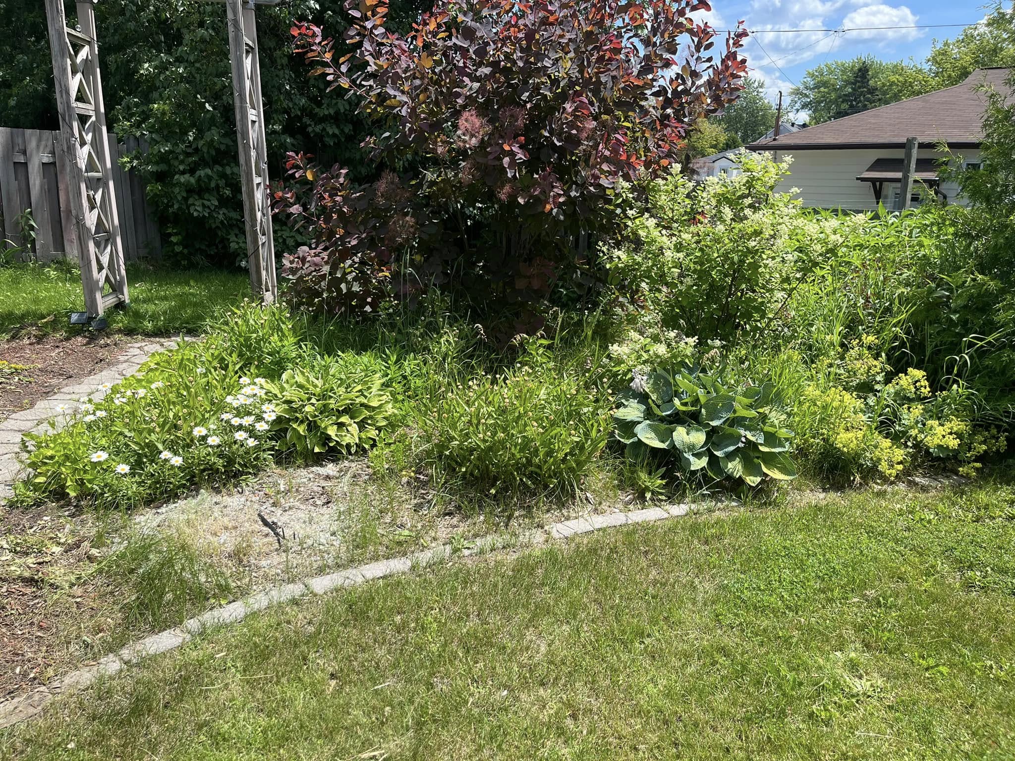 Overgrown lawn with heavy leaf coverage going into winter in Greater Sudbury