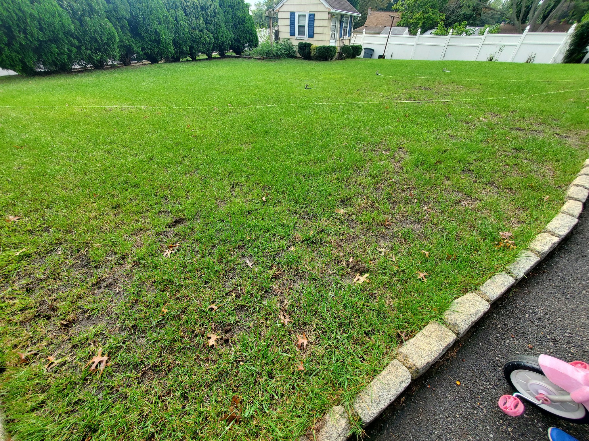Overseeding patchy lawn areas in Sudbury backyard