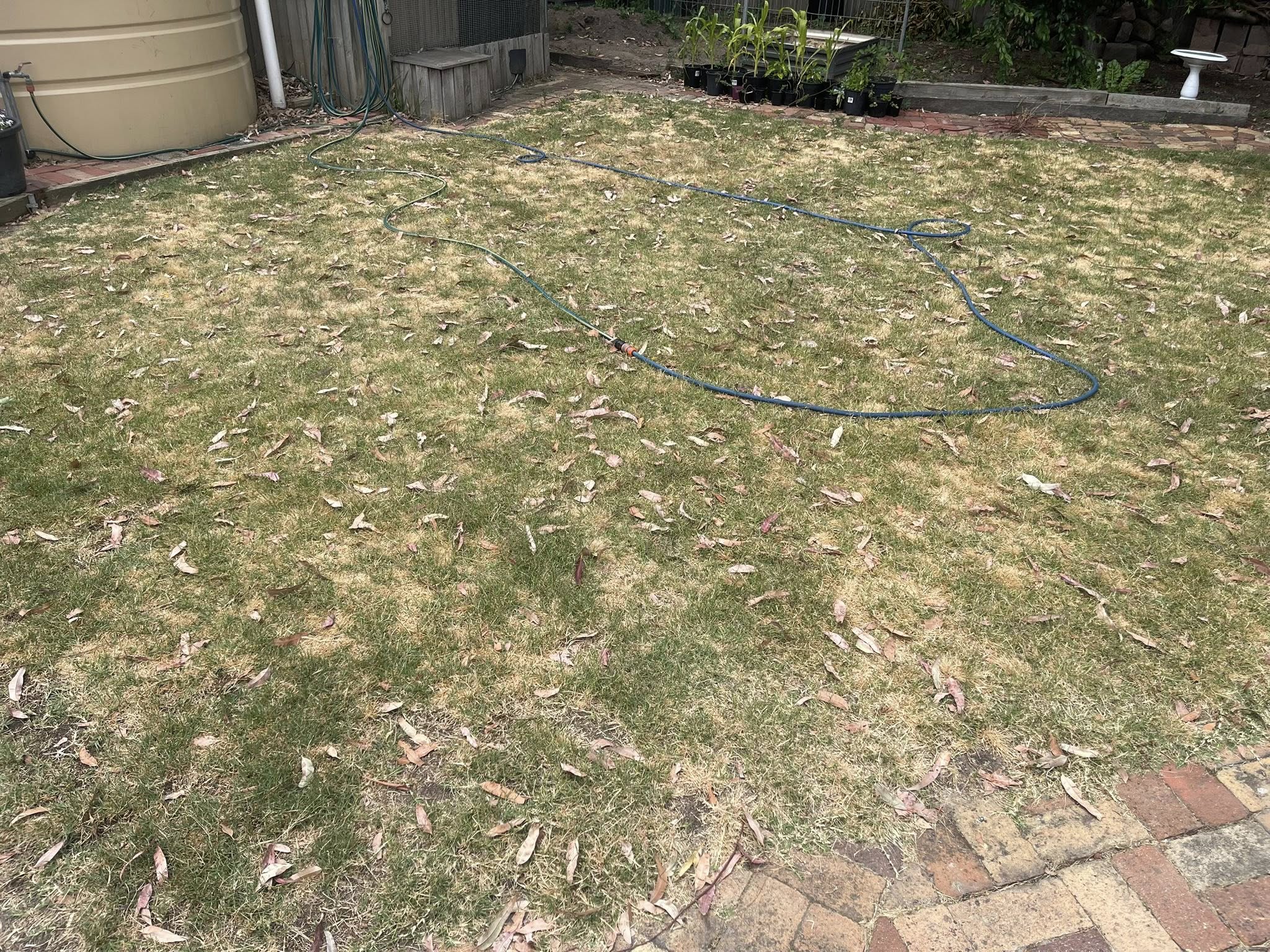 Patchy dead lawn in Sudbury Ontario before sod installation by Cutting Edge Lawn